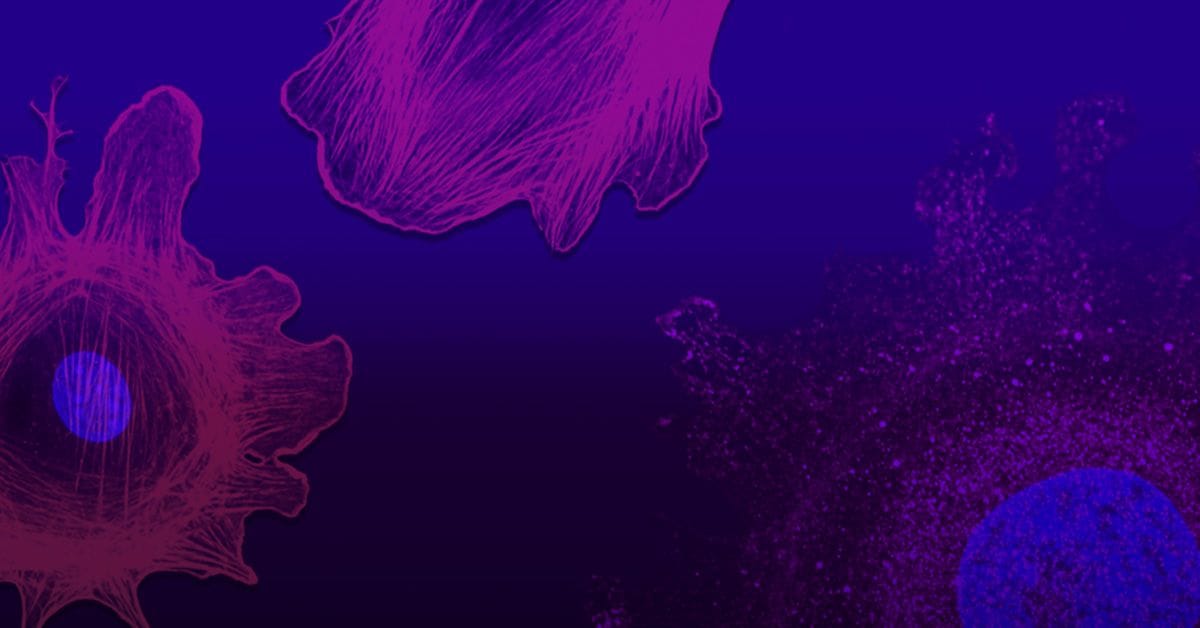 Illustration of single-cell organisms - pink and purple