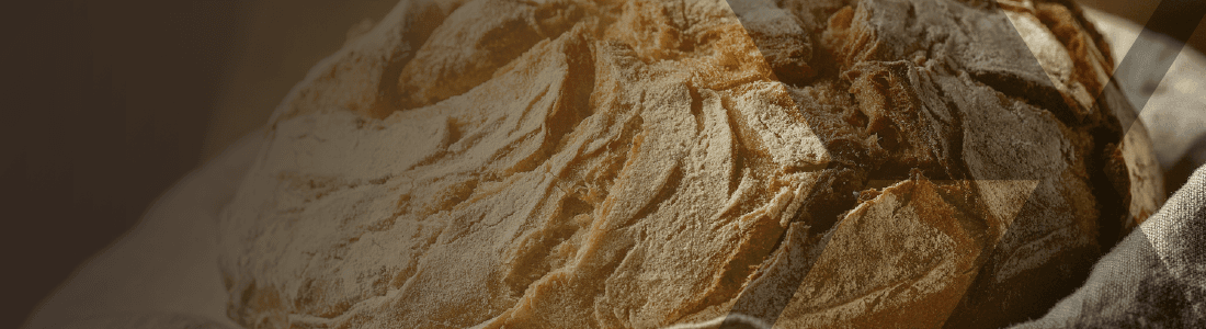 Bread-Eating Fungi Exploited to Make Sustainable Textiles