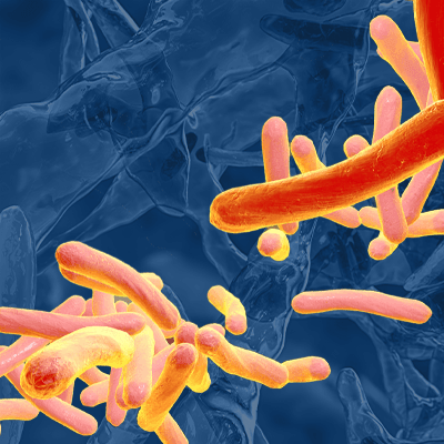 An enhanced microscopic image of Mycobacterium tuberculosis bacteria in bright shades of yellow, orange, and red.