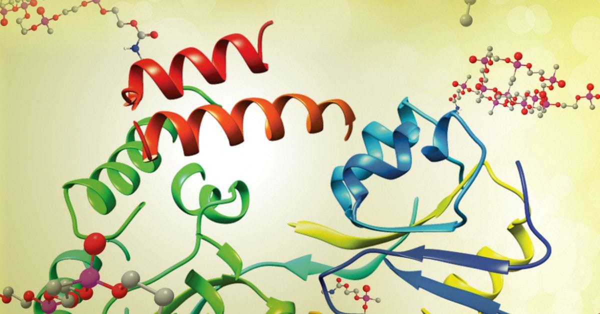Ribbon diagram of a protein molecule in rainbow colors, surrounded by ball-and-stick models of peptide chains.