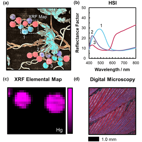 An image from the research paper: digital microscopy illustrates the layering of a red pigment (cinnabar) with purple feathers to effect the observed magenta coloring