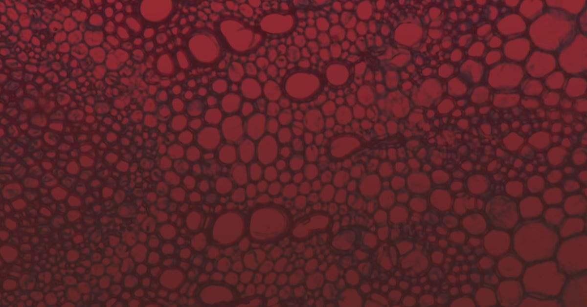 Close-up of red-tinted abstract pattern resembling bubbles or cells in varying sizes.