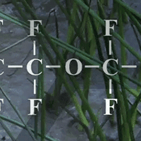PFAS molecular structures