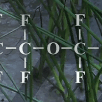 PFAS molecular structures