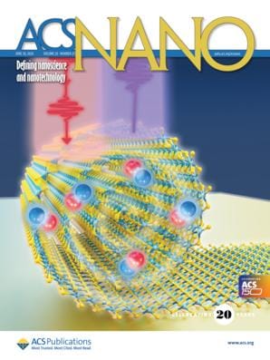 ACS Nano Journal Cover