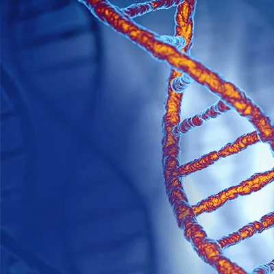 An image of a Colorful DNA double helix with blue background.