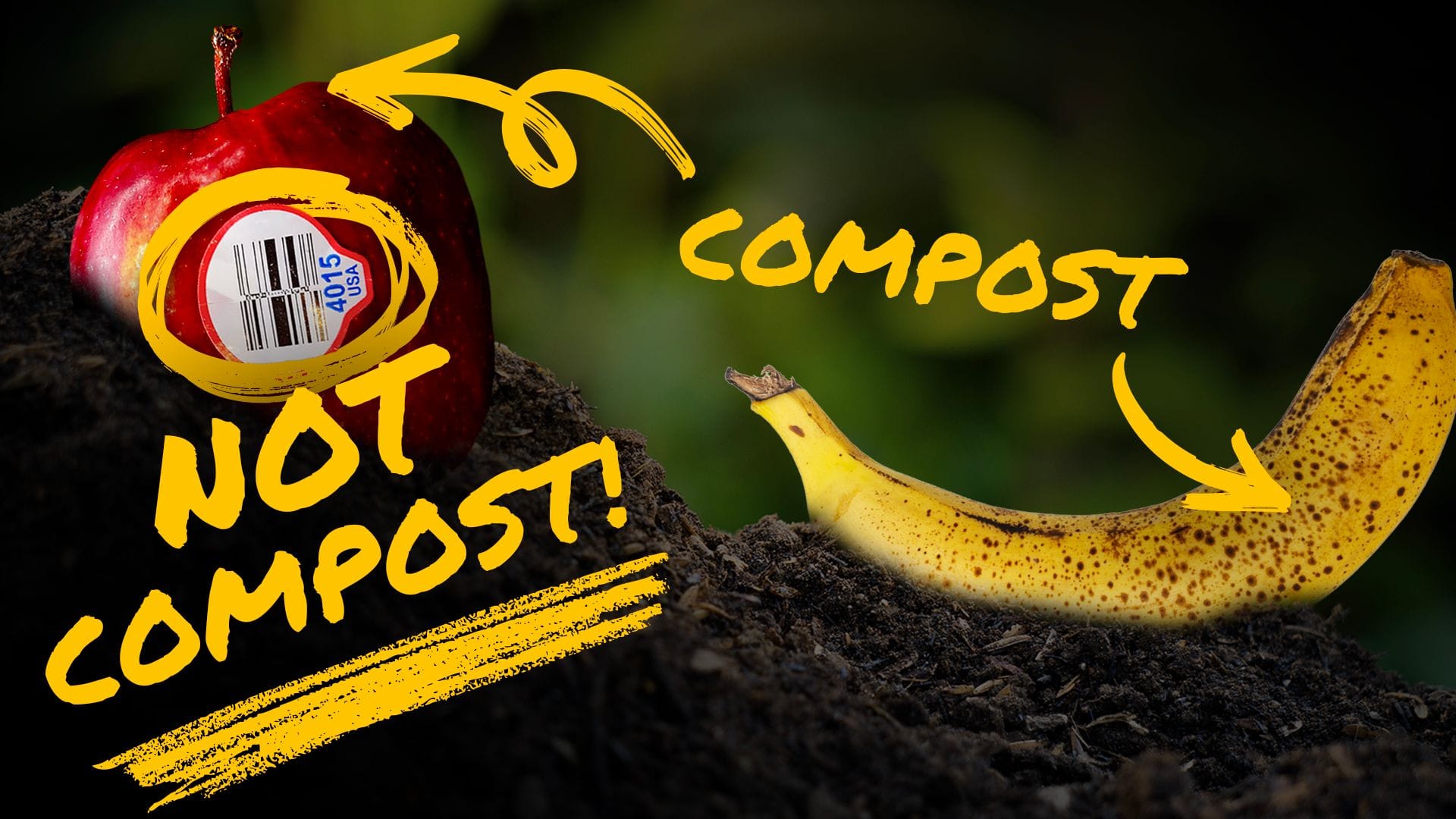 A red apple with a produce sticker labeled "NOT COMPOST!" beside a ripe banana labeled "COMPOST," both on dark soil.