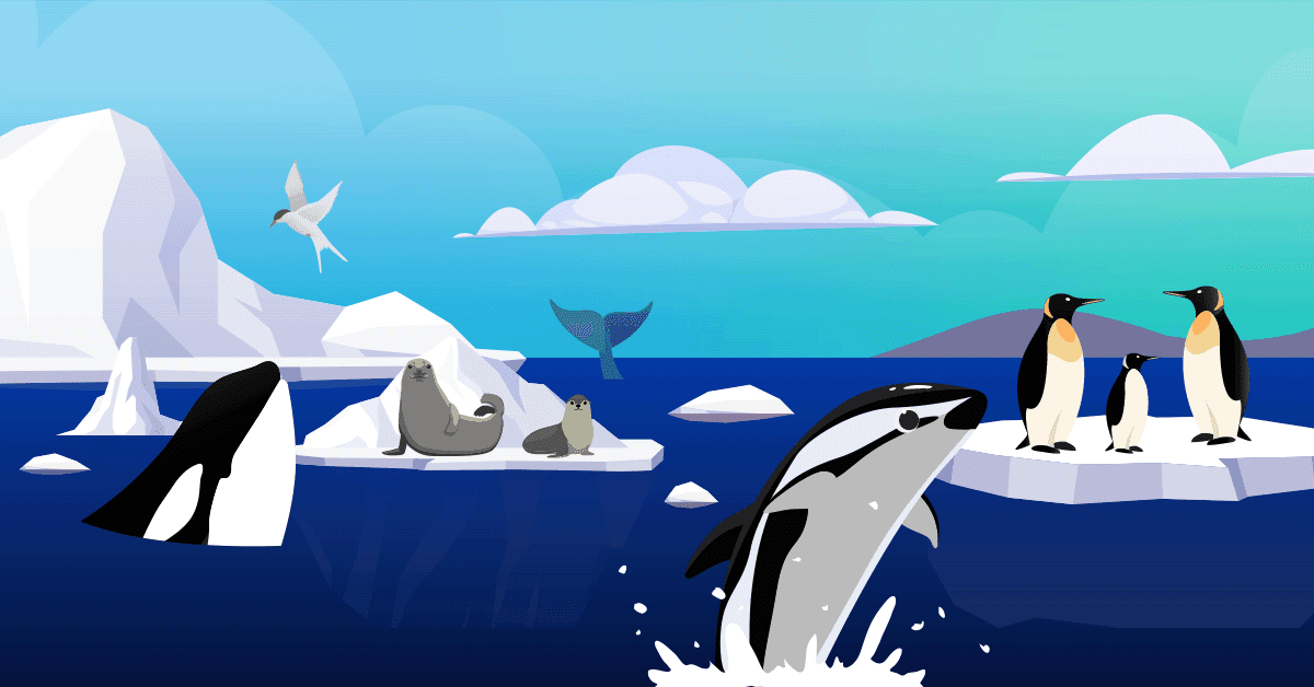An animated arctic scene with orcas, seals, penguins, and glaciers.