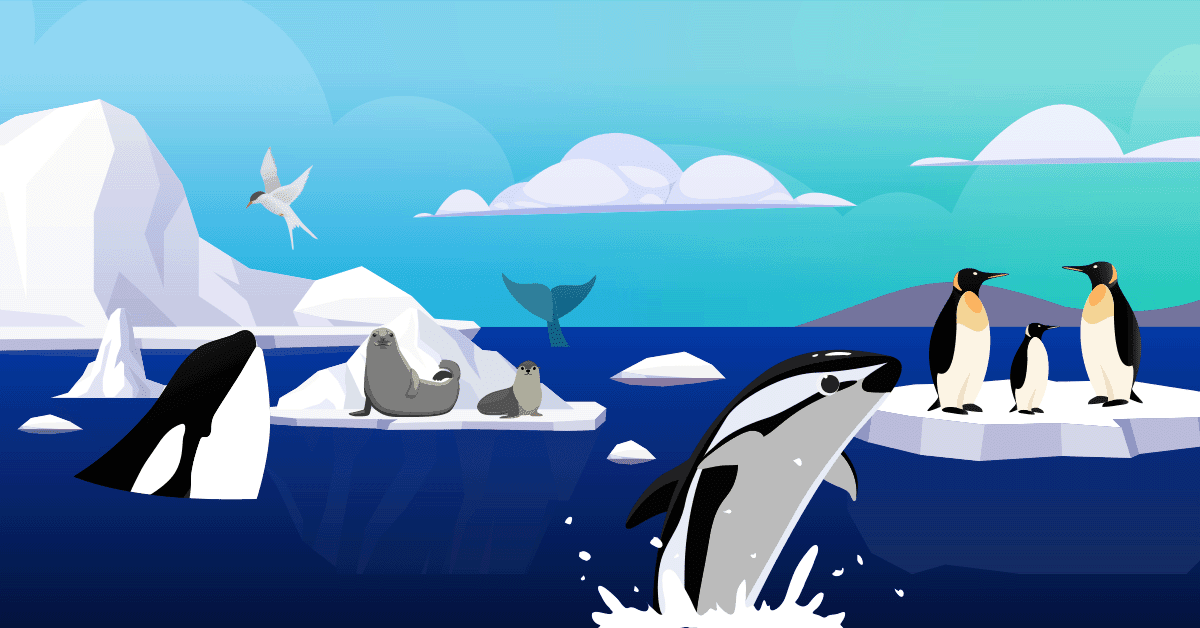 An animated arctic scene with orcas, seals, penguins, and glaciers.