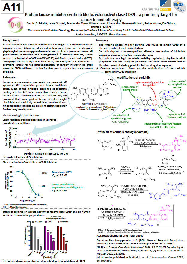 Thumbnail of Carolin S. Pikullik's Winning Poster