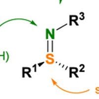 A portion of the abstract image of the article.