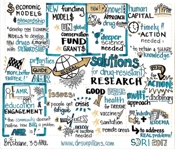 During the panel Dr. Sue Pillans (www.drsuepillans.com), a visual artist recorded the discussion and captured the three top priorities.