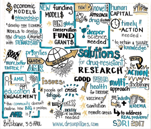 During the panel Dr. Sue Pillans (www.drsuepillans.com), a visual artist recorded the discussion and captured the three top priorities.