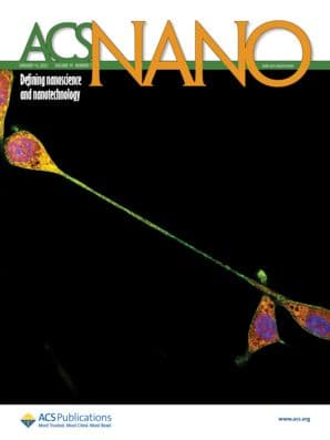 ACS Nano Journal Cover