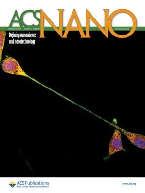 ACS Nano Journal Cover