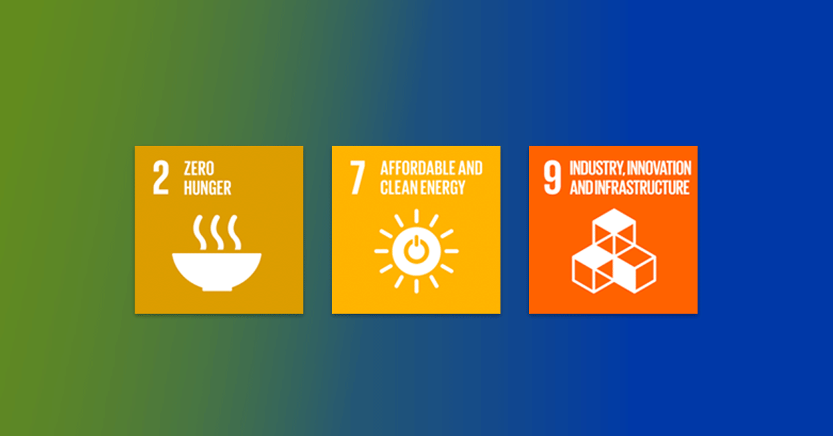 icons displaying sustainable development goals of zero hunger, affordable and clean energy, and industry innovation and infrastructure