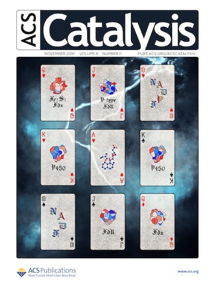 Cover Art Series - ACS Catalysis