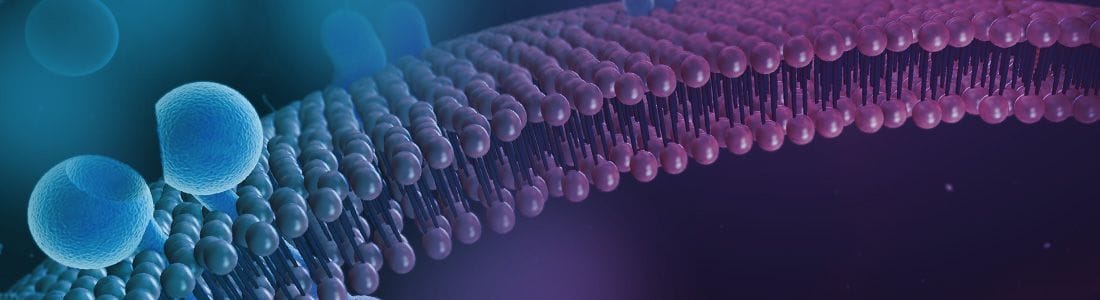 JASMS Call for Papers