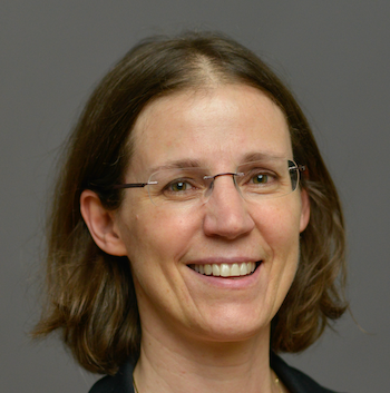 Professor Stefanie Dehnen