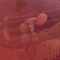 An image of a mountain with a lot of balloons in it.