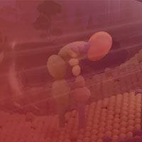 An image of a mountain with a lot of balloons in it.