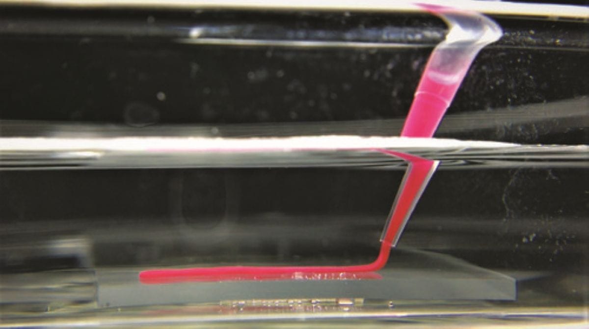 Demonstration of the spreading of a coacervate dense phase underwater (∼1 nM rhodamine B is encapsulated for visibility). Captured at room temperature.