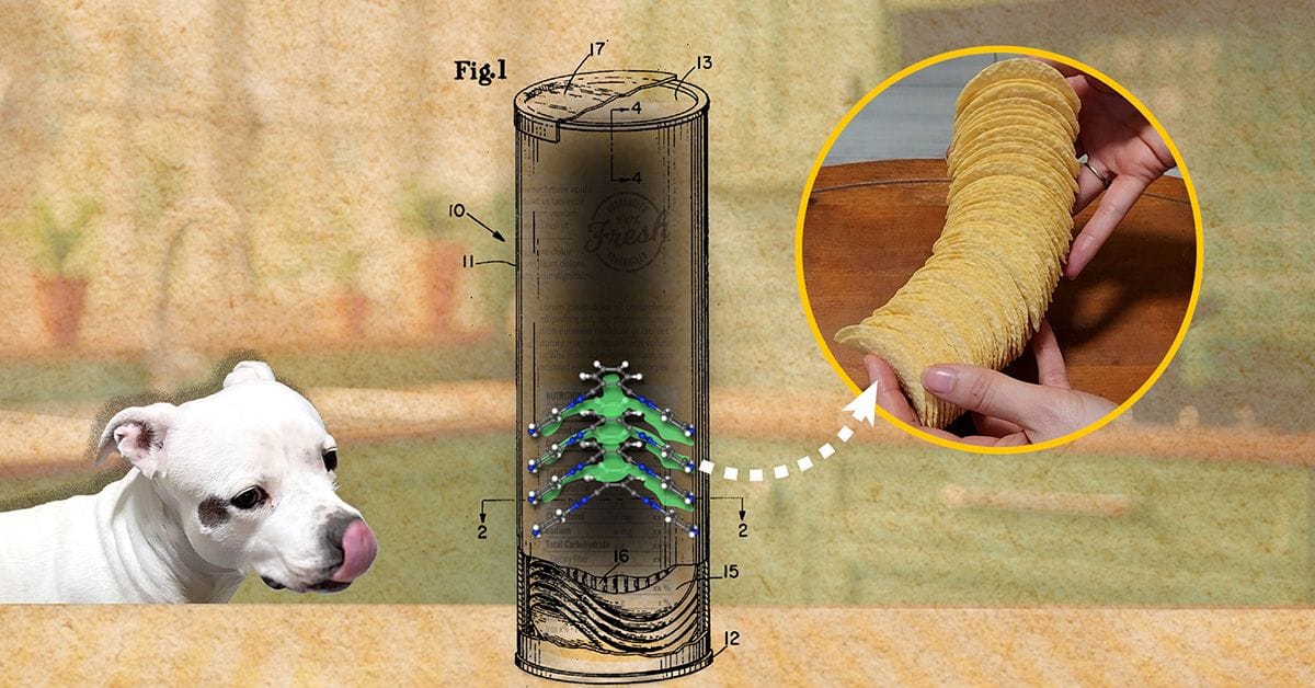 An Illustration of a cylindrical container with a diagram showing stacked chips inside, alongside a photo of a hand holding a neat stack of Pringles chips, and a white dog looking at the container longingly.