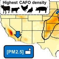 Spatial distributions and trends of animal unit density and ammonia over the CONUS.