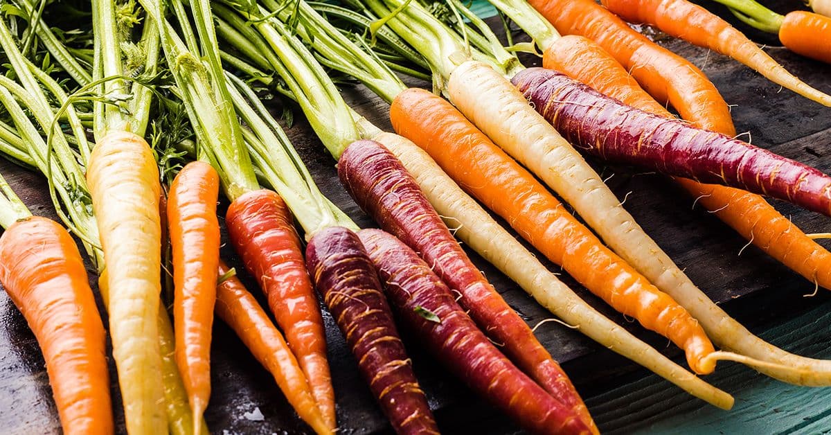 A bunch of multicolored carrots in shades of orange, yellow, and purple.