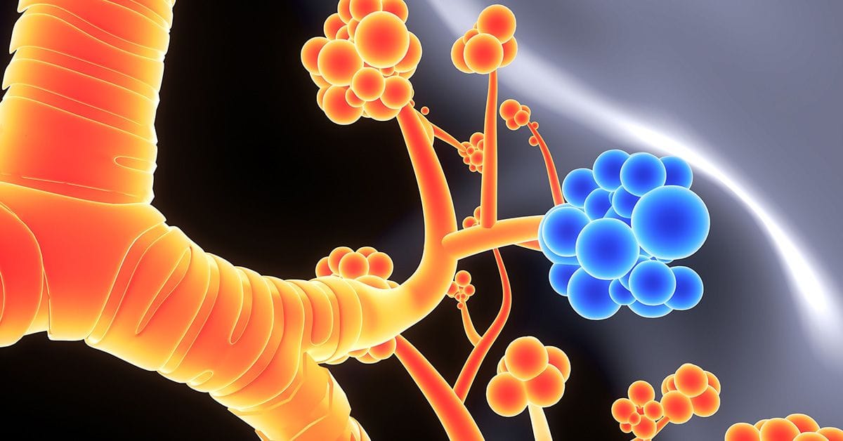 Colorful, stylized representation of alveoli with orange and blue clusters against a dark background.