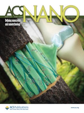 ACS Nano Journal Cover
