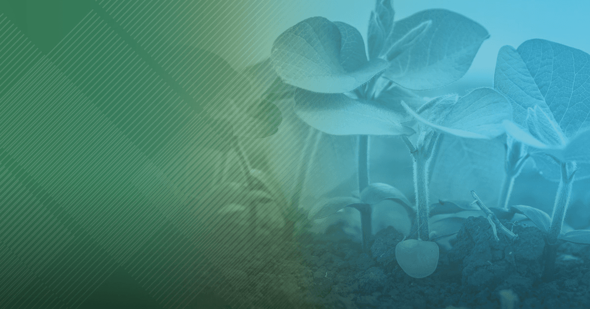 green and blue abstract floral artwork