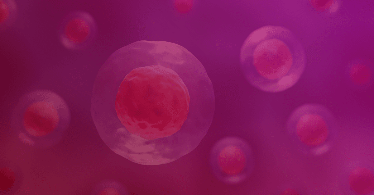 Abstract illustration of cells with prominent red nuclei against a vibrant violet background, depicting the microscopic world of biology.