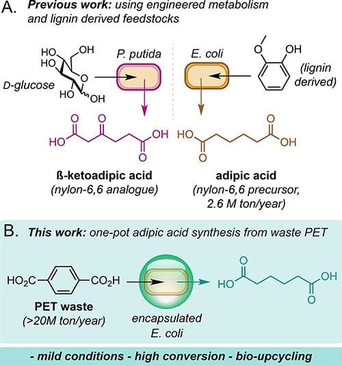 A diagram showing the process of a chemical reaction.