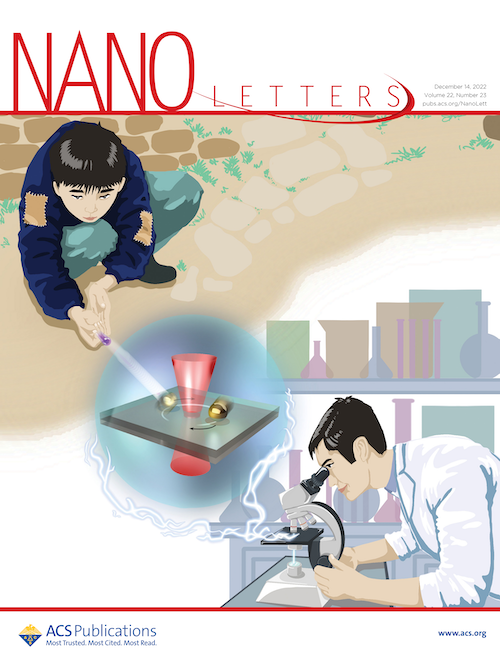 DEIR Cover Series 2022 - Nano Letters