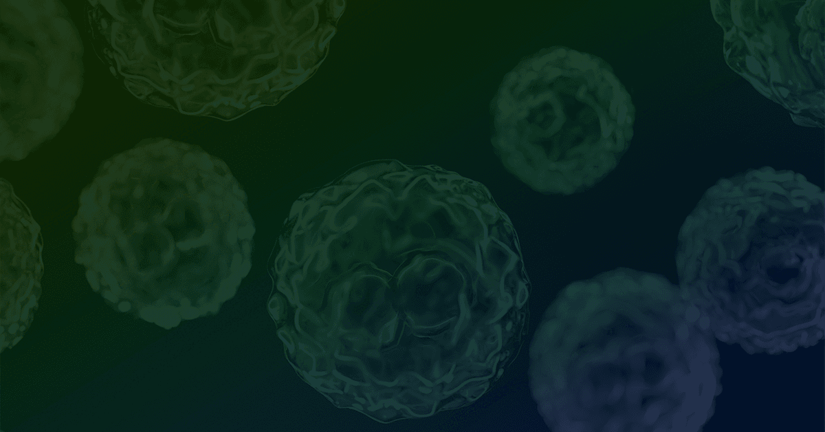 A group of cells on a dark background.