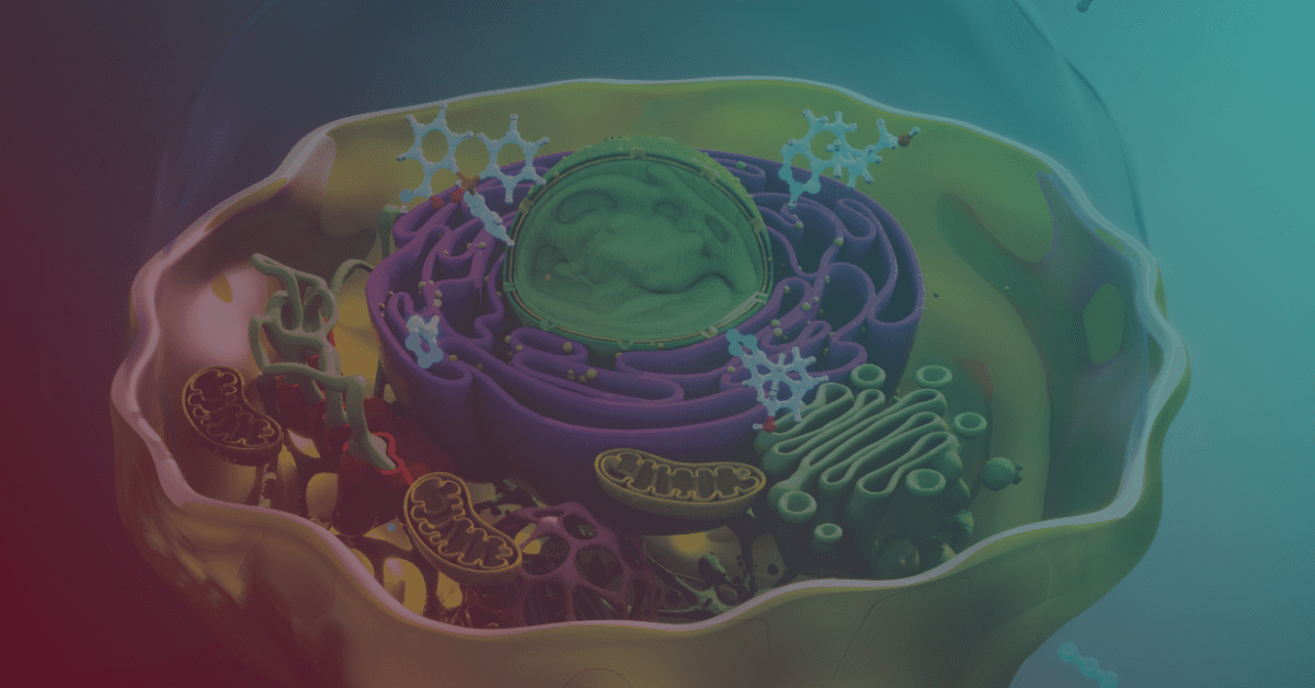Colorful 3D illustration of a cell's interior, showcasing organelles like the nucleus, mitochondria, and complex structures.