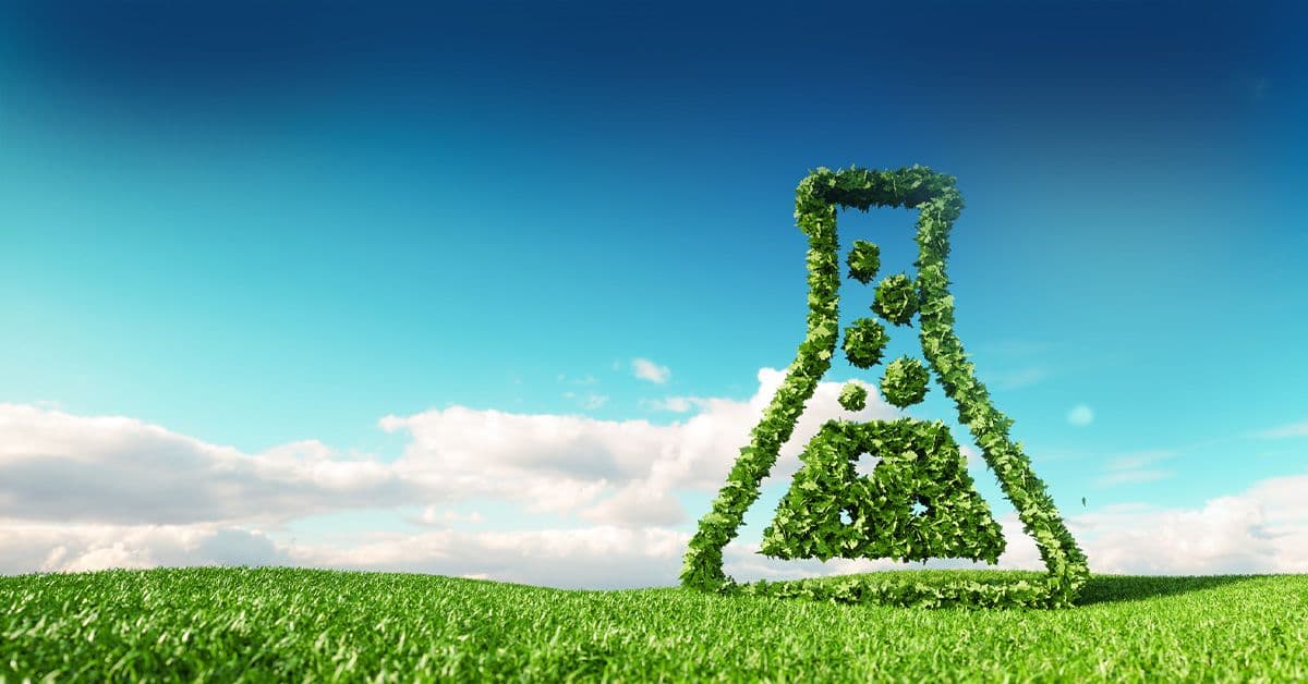 A grassy field with a large beaker made of green leaves under a blue sky with white clouds.