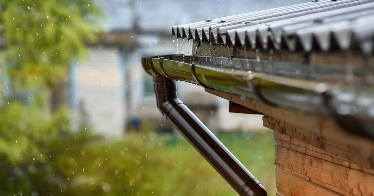 An image of raindrops falling from a roof into a metal gutter, with blurred greenery in the background.