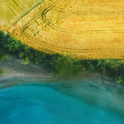 Aerial view of a vibrant landscape featuring golden fields, lush greenery, and a clear blue water edge at the boundary.