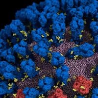 Illustration of the surface of the flu virus in motion