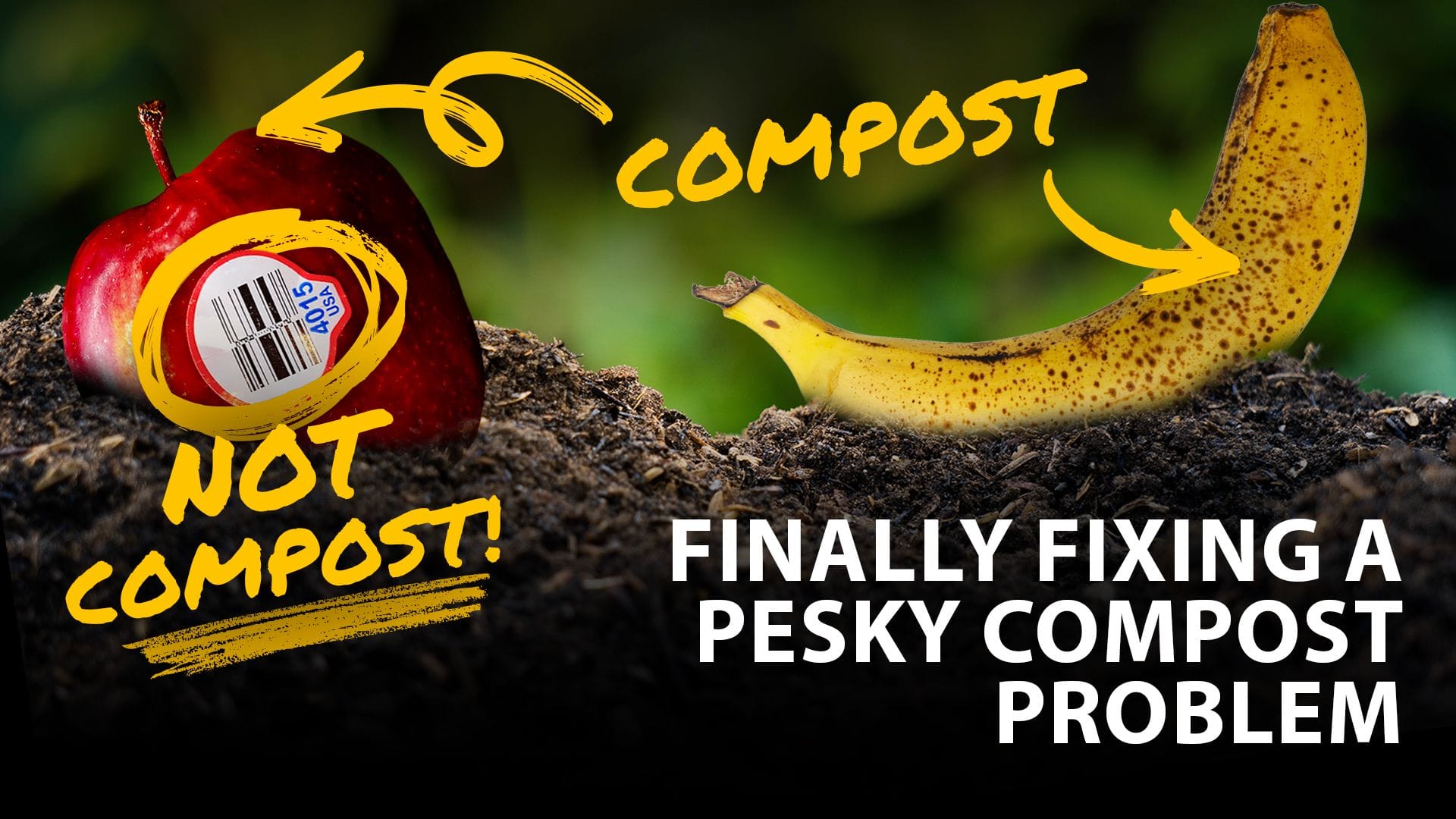 Compost vs. not compost guide: a red apple with a non-compostable produce sticker marked "NOT COMPOST!" and a compostable banana peel marked "COMPOST" on soil.