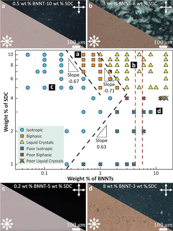 Phase Diagram of HP-BNNTs in aqueous solutions of SDC. Langmuir 2025, 41, 24, 15270-15282; Figure 7.