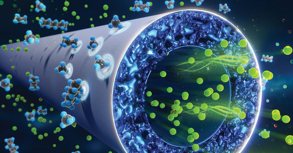 An image of a tube with green and blue cells.