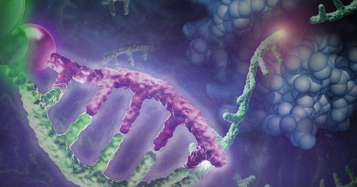Abstract molecular illustration depicting DNA and RNA strands in vibrant colors, representing genetic processes in a cellular environment.