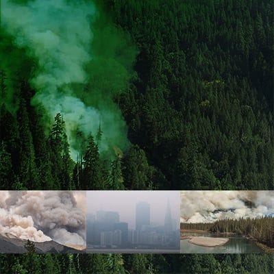a collage of images depicting wildland fires and their impact on the environment