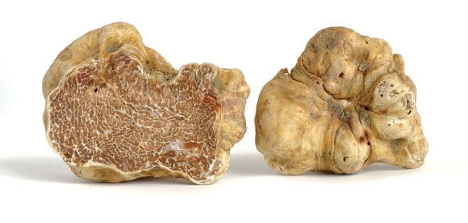 Two white truffles, one sliced in half showing the marbled interior, and the other whole, against a white background.