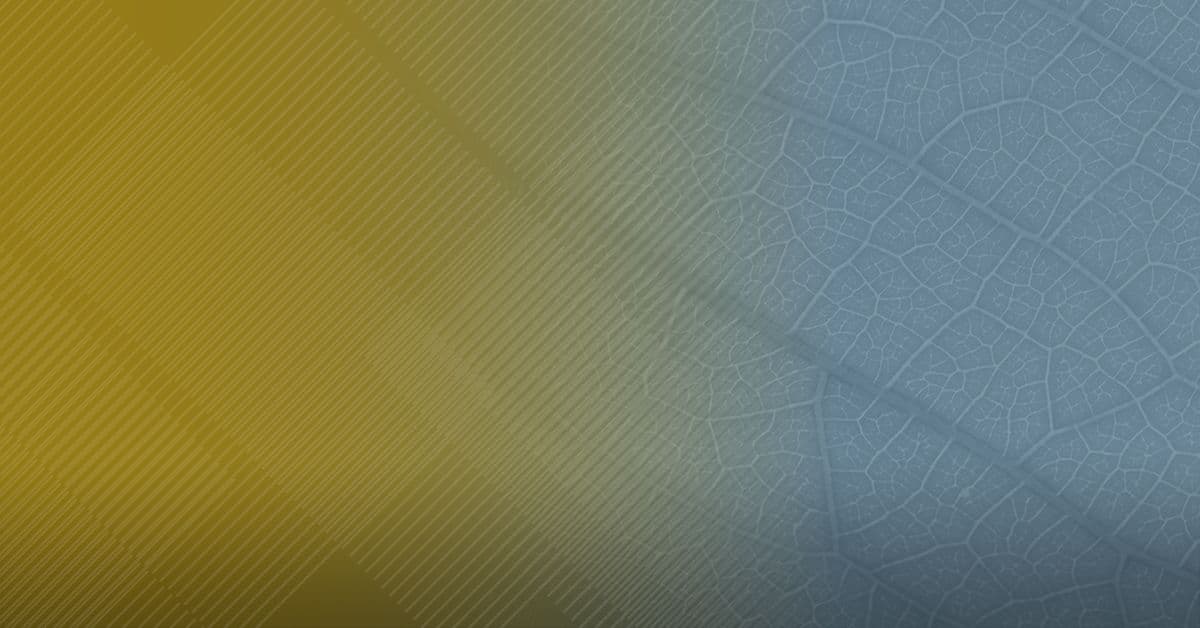 An image of a blue and yellow background.