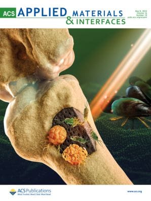 ACS Applied Materials & Interfaces Journal Cover