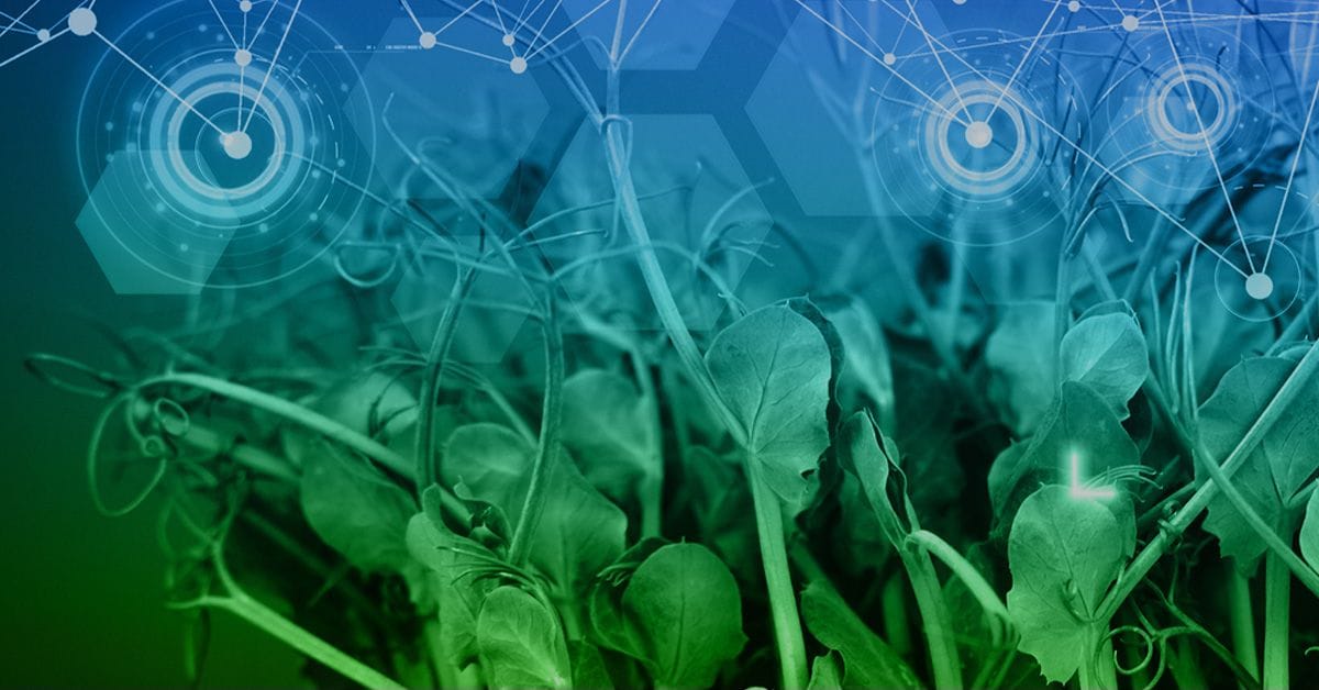 Abstract image of green plants with an overlaid digital graphic featuring hexagons, circles, and connecting lines, symbolizing technological integration in agriculture.